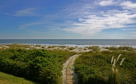 hilton head plantation