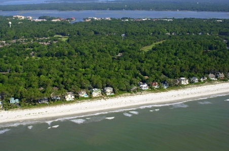 palmetto dunes