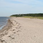 on Vineyard Sound