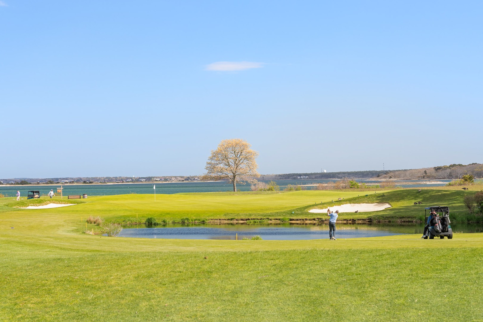 FARM NECK golf club
